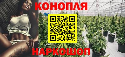 СК Аргун